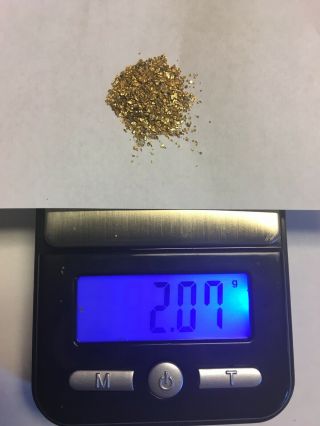Alaskan Gold Nuggets 2.  07 Grams 20 - 22 K