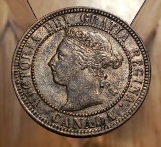 Canada 1901 Queen Victoria Large Cent - -