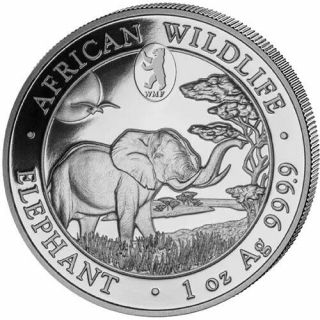 2019 Elephant - Privy Mark Wmf Berlin Bear - 1 Oz.  9999 Silver Coin,  Box