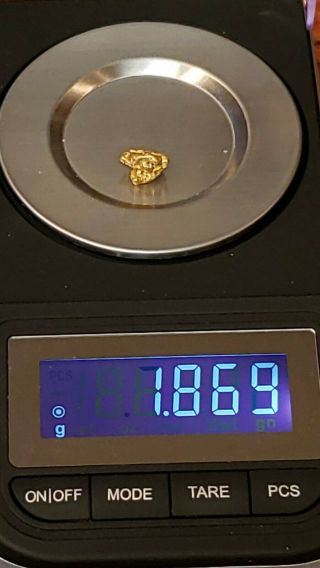 Gold Nugget 1.  869 Grams 92,  22k Alaska Natural ❤ Big Clunker ❤