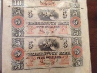 Hagerstown Bank of Maryland - Uncut sheet $5 and $10 - obsolete notes - uncir 5