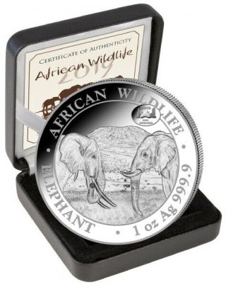 Elephant Exclusive Chicago Ana Privy - 1 Oz Silver Coin 2019 Somalia