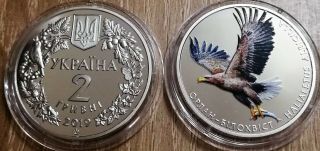Ukraine - 2 Hryven 2019 Haliaeetus Albicilla White - Tailed Eagle Unc