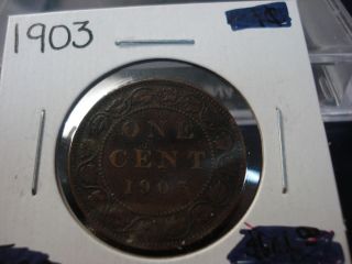 1903 - Canada One Cent - Canadian Penny - Coin