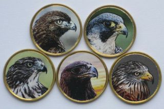 Saharawi / Saharaui / Sahrawi 10 Pesetas 2019 5 Colored Coins Set Of Eagles