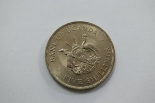 Uganda 5 Shillings 1968 Fao B20 K2332