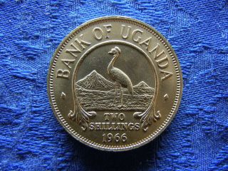 Uganda 2 Shillings 1966,  Km6