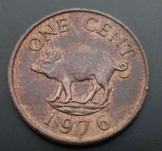 Bermuda 1 Cent 1976.  Km 15.  One Penny Coin Pig.  Animals.  Wild Boar.  Elizabeth Ii