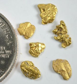 Alaskan Yukon Bc Gold Rush Nugge 6 Mesh 1 Dwt 1.  55 Grams Of Fines 1/20 Ounce