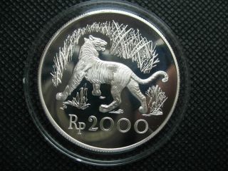 Indonesia 1974 2000rupiah Silver Proof Coin Conservation Series Javan Tiger