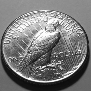 1928 - P Peace Silver Dollar Choice BU 3 King of the Peace Dollars 2