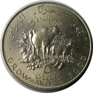 Elf Somalia Republic 5 Shillings 1970 Fao Cow Goat Sheep Bananas Grain