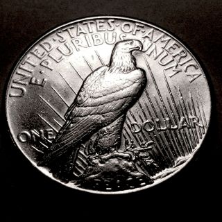1928 - P Peace Silver Dollar Choice BU 5 King of the Peace Dollars 2