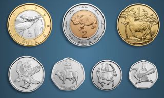 Botswana – 7 Dif Unc Coins 0.  05 - 5 Pula Bimetal 2013 Year Animals Rhino Eagle
