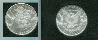1883 Cc Morgan Silver Dollar Gsa With Box Choice Bu 6605m