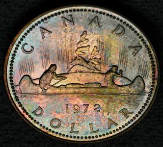 1972 Silver Dollar $1 State Specimen - Golden Tones 2