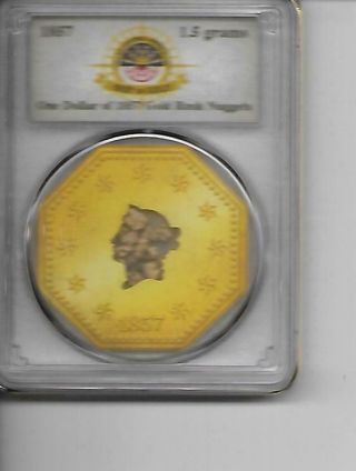 1857 One Dollar Of Gold Rush Nuggets - 1.  5 Grams - Ss Central America Pcgs