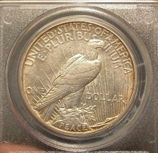 1921 Peace Line Thru L VAM - 3 PCGS AU50 Dollar Key Date Hi Relief Type Coin Ray 6