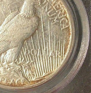 1921 Peace Line Thru L VAM - 3 PCGS AU50 Dollar Key Date Hi Relief Type Coin Ray 9
