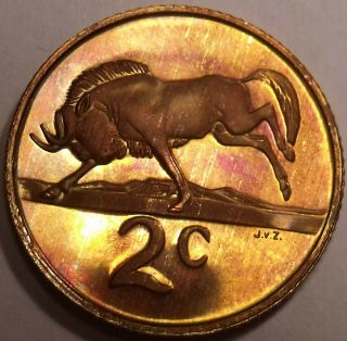 South Africa 2 Cents,  1983 Proof Rare Only 14,  000 Minted Wildebeest