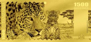 Tanzania 2018 1500 Shillings Big Five - Leopard 1g Proof Gold Note