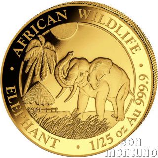 2017 Somalia Gold Elephant - 1/25 Oz 24k Coin In Capsule African Wildlife.  9999