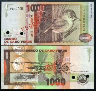 Cape Verde 1000 1,  000 Escudos 1992 Bird Specimen P 65 Unc