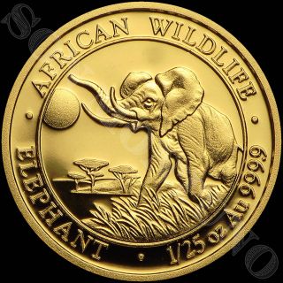 2016 Somalia Gold Elephant - 1/25 Oz 24k Coin In Capsule African Wildlife.  9999