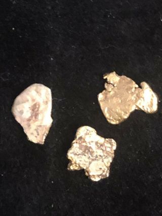 California Gold Nuggets 1.  642 Gram Total Weight 3