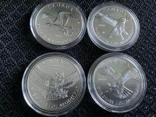 Canadian Birds Of Prey Series Complete Set Of 4 Silver 1 Oz.  Coins