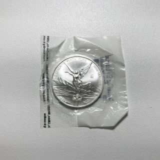1999 Silver Mexican Libertad 1 Oz.  999 Silver Coin Choice Uncirculated