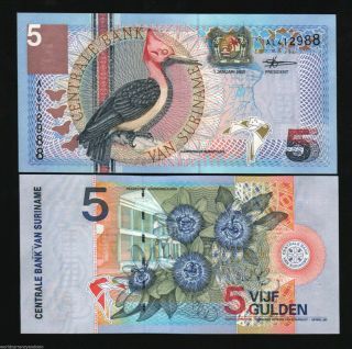 Suriname 5 Gulden,  2000,  P - 146,  Unc 1pcs X63