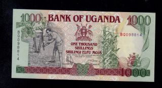 Uganda 1000 Shillings 1991 Bq Pick 34b Unc.
