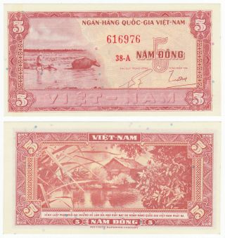 South Vietnam 5 Dong 1955 P - 13 Buffalo Aunc Almost Uncirculated