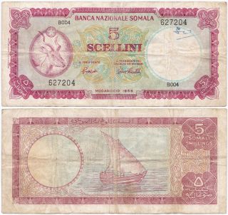 Somalia,  5 Scellini = 5 Shillings 1966,  Pick 5a,  F