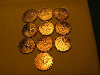 Set Of 10 Canada Bu Pennies 1990 To 1999 Set.