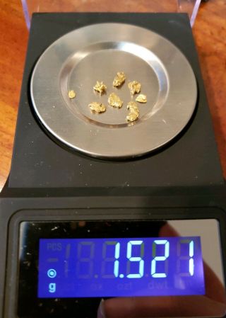Gold Nuggets 1.  521 Grams 92 22k Alaska Natural ❤jeweler 