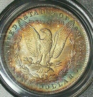 1884 - O Silver Morgan Dollar Bu Pcgs Ms64 Rainbow Color Toned With Great Luster