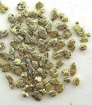 Alaskan Yukon Gold Rush Nuggets 18 - 16 Mesh 1 Gram Of Small Fines