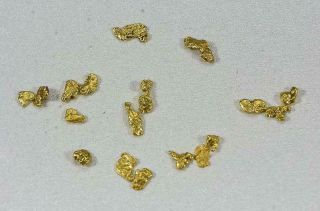 California Gold Nuggets 1 Grams Of 10 - 12 Mesh Gold Authentic Natural American R