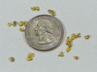 California Gold Nuggets 1 Grams of 10 - 12 Mesh Gold Authentic Natural American R 2