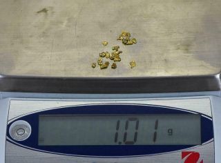 California Gold Nuggets 1 Grams of 10 - 12 Mesh Gold Authentic Natural American R 3