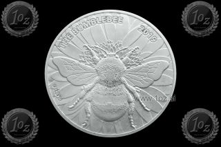 Cameroon 1000 Francs 2019 (the Bumblebee) 1oz Silver Coin (ag 999/1000) Unc