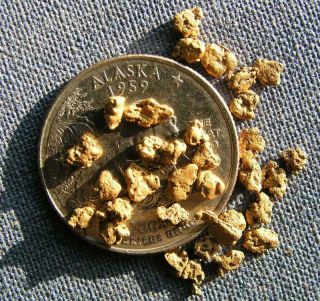 Alaska Gold Nuggets 1 Gram -,  Natural,  10 Mesh Alaska Gold