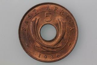 East Africa 5 Cents Coin 1936kn Km 23 Uncirculated