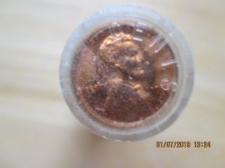 Roll Of Uncirculated 1955s Lincoln Wheat Pennies Bu