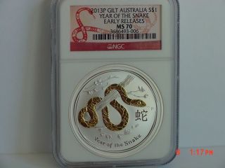 2013 Australia Lunar Year Of The Snake Gilded/gilt $1 1 Oz Silver Ngc Ms70 Er
