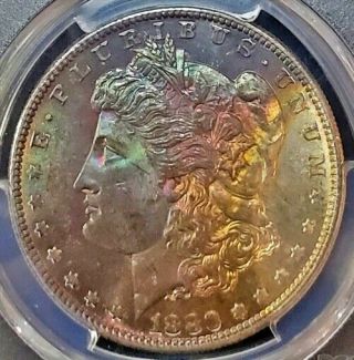 1880 - S Morgan Silver Dollar Bu Pcgs Ms64 Multi Color Toned Coin Must Have