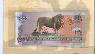 2006 Specimen Somaliland 1000 Sh.  Banknote Lion/camel