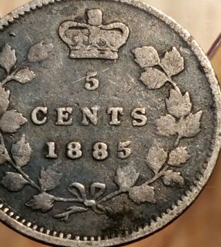 1885 Large 5 Canada Queen Victoria 5 Cents Silver Coin 3